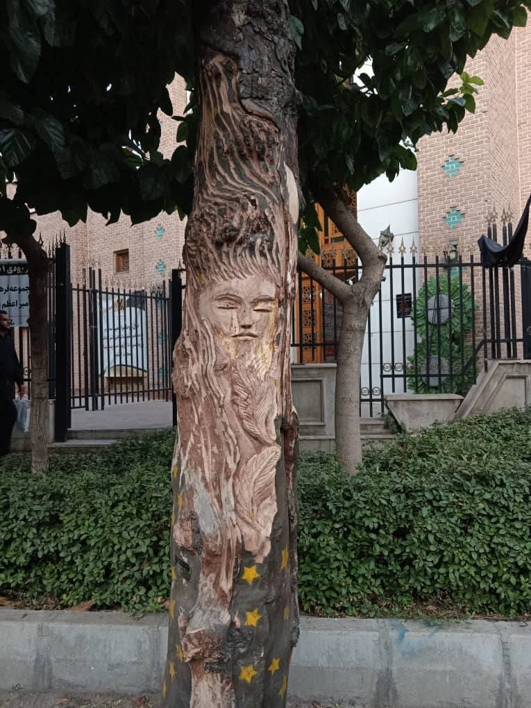قطع کردن درخت ۱۰۰ ساله به خاطر نقش یک زن