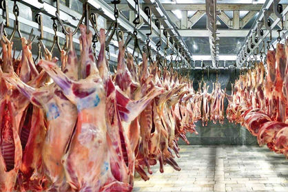 گوشت قرمز ایرانی صادر می‌شود تا مردم گوشت کنیایی و پاکستانی مصرف کنند
