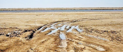 ۹۹ درصد سطح تالاب گاوخونی خشک است