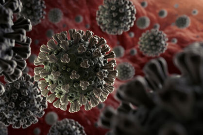ویروس پیرولا خطرناک است؟