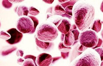 پیگیری ثبت ۲ میلیون داوطلب اهداکننده سلول‌های بنیادی خونساز
