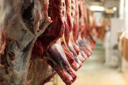 ریزش قیمت گوشت آغاز شد