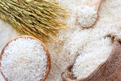 چرا دولت واردات برنج را ممنوع کرد؟